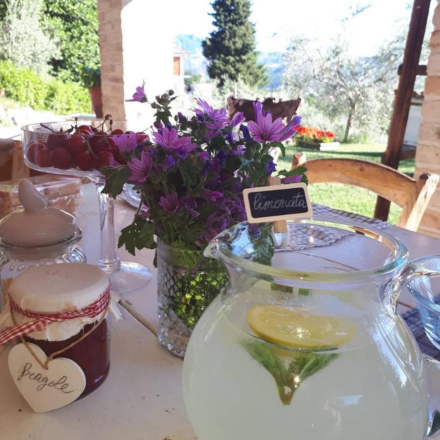 B&B L'Usignolo Ascoli Piceno Exteriör bild