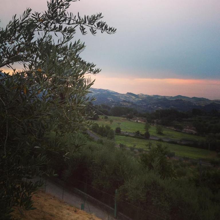 B&B L'Usignolo Ascoli Piceno Exteriör bild
