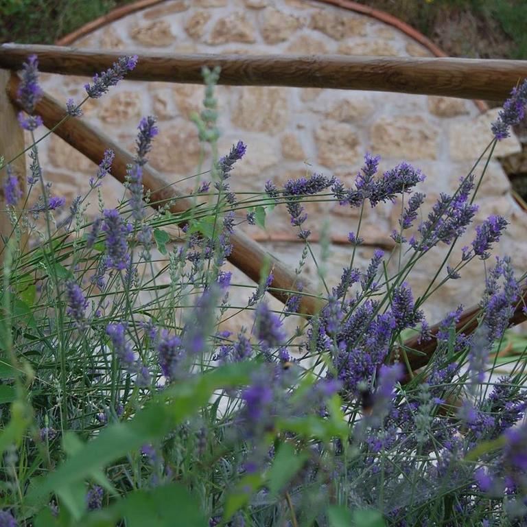 B&B L'Usignolo Ascoli Piceno Exteriör bild