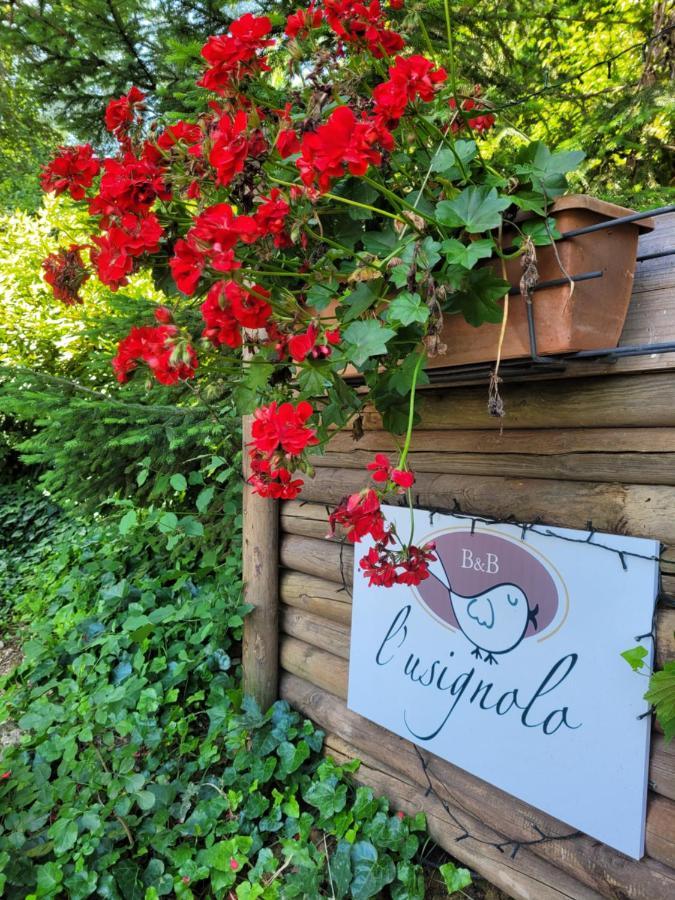 B&B L'Usignolo Ascoli Piceno Exteriör bild